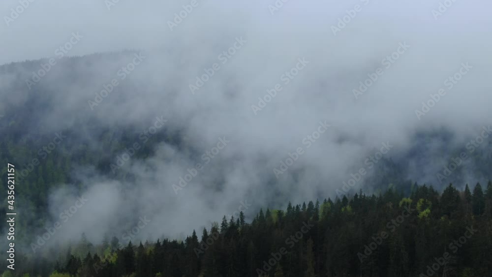 Drone flying through morning fog in spring mountains. Aerial view of mist, cloud and fog hanging over a wood forest after a rain Drone flying through morning fog in spring mountains. Aerial view of mist, cloud and fog hanging over a wood forest after a rain
