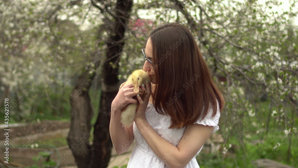 A young woman in a white dress holds a real duckling in her arms. Girl in the garden with a bird. A young woman in a white dress holds a real duckling in her arms. Girl in the garden with a bird.