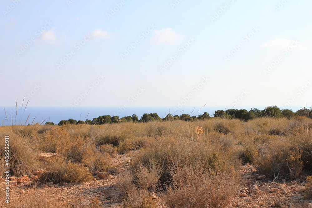 Fototapeta premium Spanish landscape