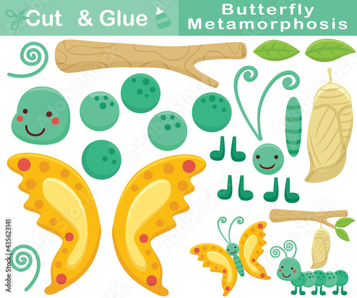 Cartoon of butterfly metamorphosis cartoon. Education paper game for children. Cutout and gluing