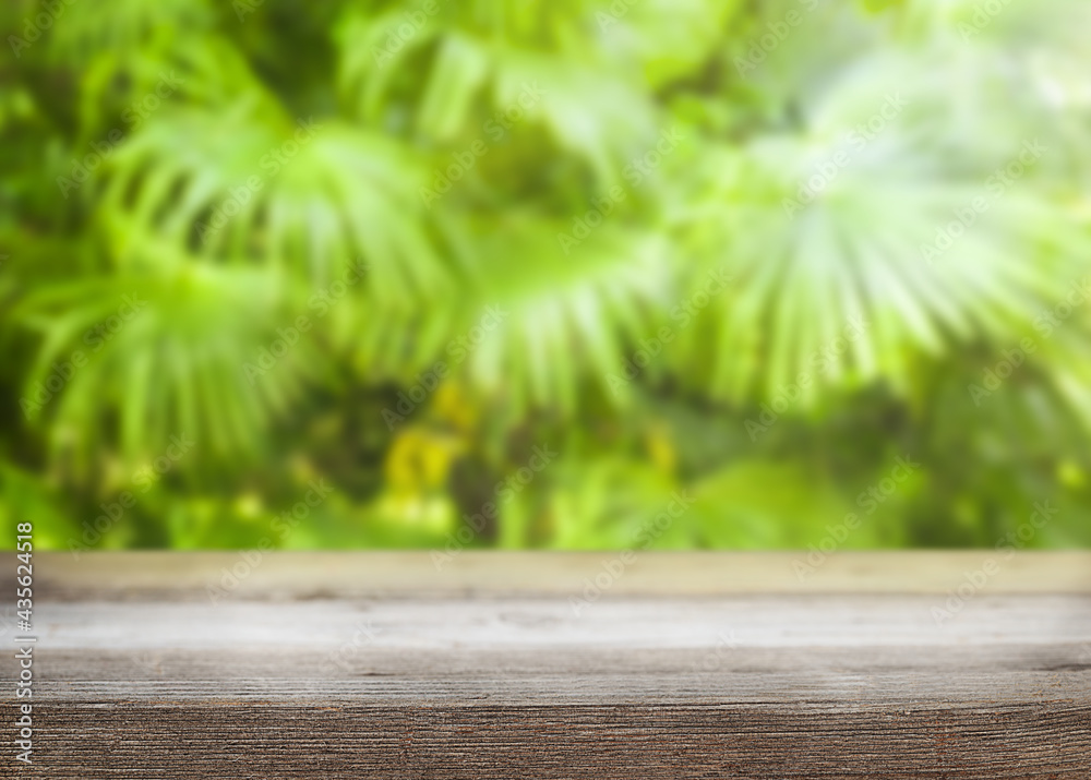 Summer nature background with wood base and view at the blurred palm leaves 
