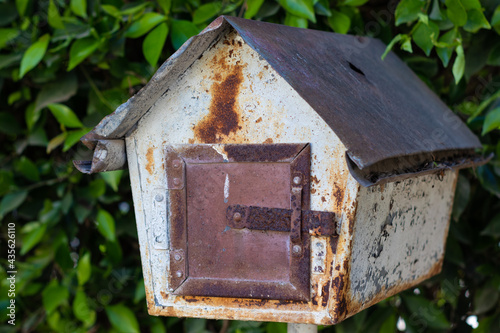 An old, rusty metal mailbox with green leaves photo