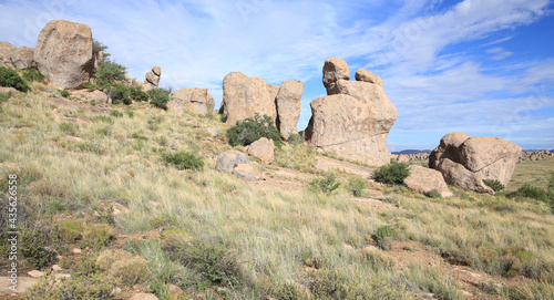 City of Rocks State Park in New Mexico, USA
