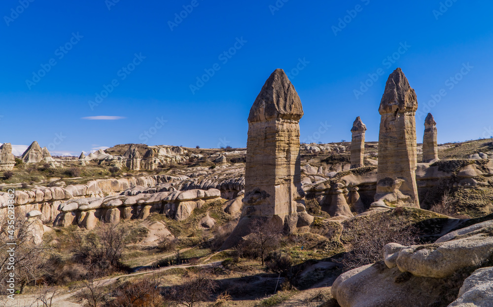 Unusual rock formations in the shape of male-genitalia in the Love Valley near Göreme, Cappadocia, Turkey