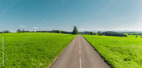 Strasse durch grüne Hügellandschaft