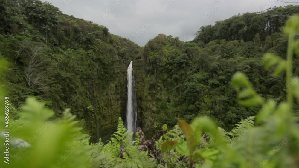 Close-Up Slow Motion Scenic View Of Waterfall In Forest Against Sky - Big Island, Hawaii Close-Up Slow Motion Scenic View Of Waterfall In Forest Against Sky - Big Island, Hawaii