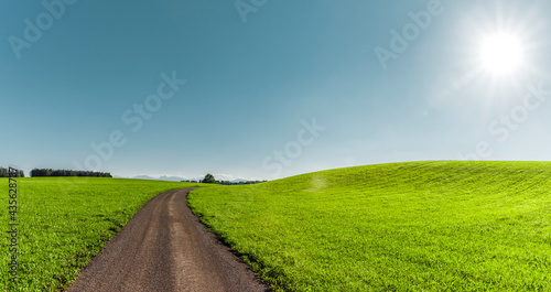Strasse durch grüne Hügellandschaft