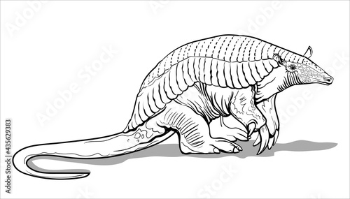 Fototapeta Naklejka Na Ścianę i Meble -  A giant armadillo with thick legs stands on the ground. Big fat animal. Coloring page for children and adults, hand drawn illustration