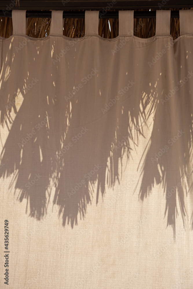 Palm Tree Leaves Sunlight Shadow Blurred Silhouette Reflection On Neutral Beige Curtains Minimal Aesthetic Summer Vacation Background Photos Adobe Stock