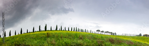 Green landscape with cypress trees and rolling hills, Tuscany, Italy