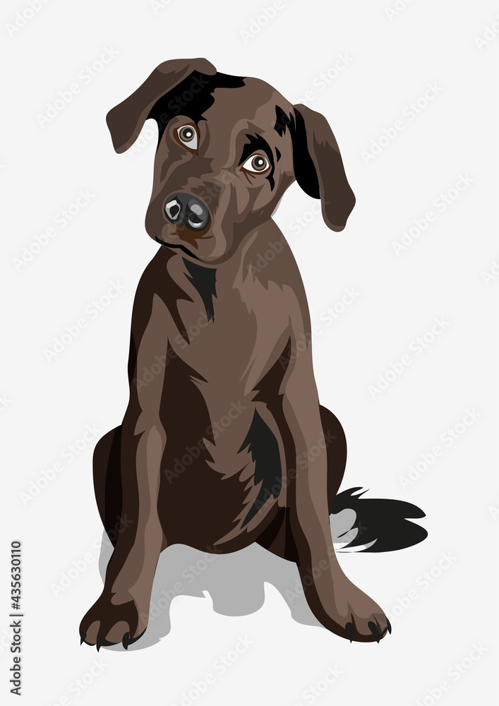 Cute black funny dog. Puppy. Black great dane. A beautiful black puppy with big eyes wags its tail and sitting on a ground. Isolate. Vector illustration Cute black funny dog. Puppy. Black great dane. A beautiful black puppy with big eyes wags its tail and sitting on a ground. Isolate. Vector illustration