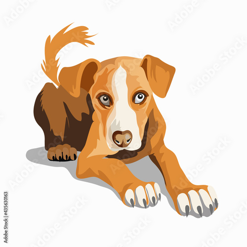 Cute beautiful brown dog. Ridgeback or beagle. A beautiful white dog sitting on a ground. Isolate. Vector illustration