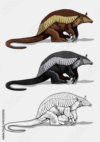 A giant armadillo with thick legs stands on the ground. Big fat animal. Isolated in white background. Color, black and white illustration and outline for coloring. Vector illustration