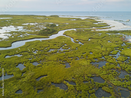 Chesapeake Bay saltmarsh and winding creeks of the Plumtree National Wildlife Refuge, Hampton, Virginia