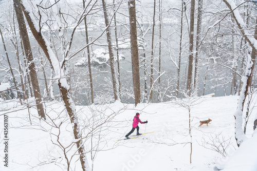 Jennifer Jordan and dog Jack cross country ski the Berma Road near Potomac, Maryland
