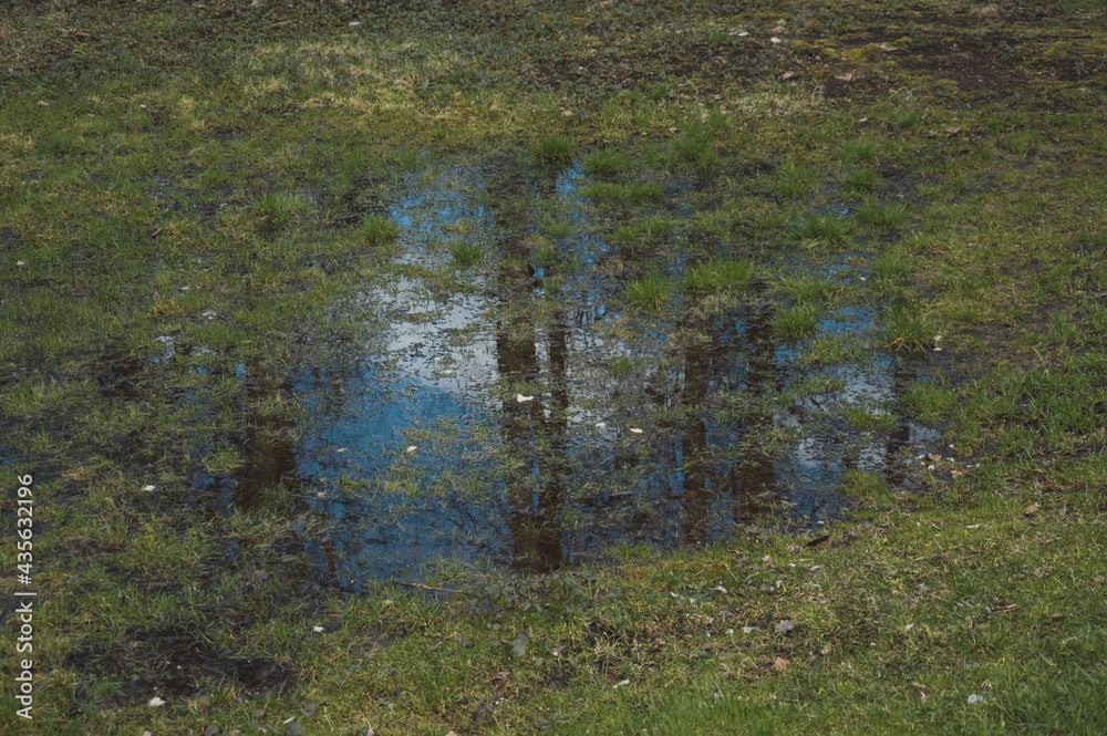the sky is reflected in a puddle on the grass 