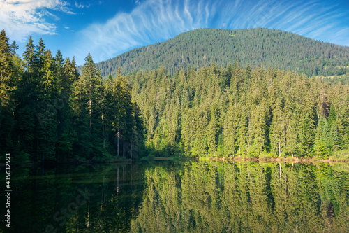 mountain summer landscape with lake. beautiful nature scenery of synevyr national park, ukraine. sunny weather with clouds on the sky. popular travel destination