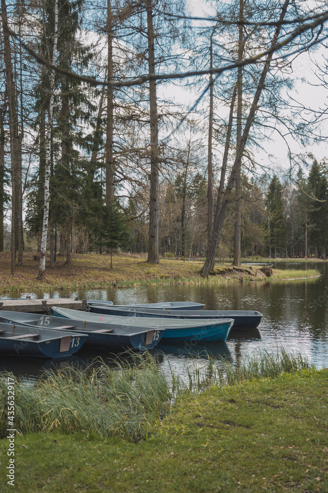 Blue boats on the river bank in Gatchina park Blue boats on the river bank in Gatchina park