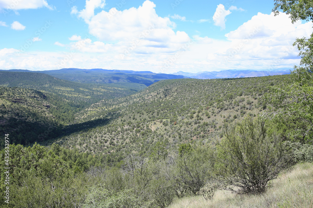 Gila National Forest in New Mexico, USA