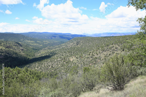 Gila National Forest in New Mexico, USA photo