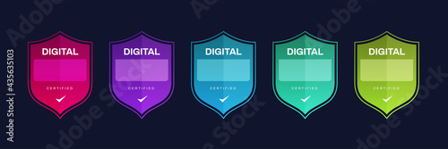 Certified logo badge. Criteria level digital certificate with shield logo line. vector illustration icon secure template.