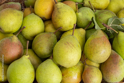 Background of ripe green and red-sided pears, copy space for text