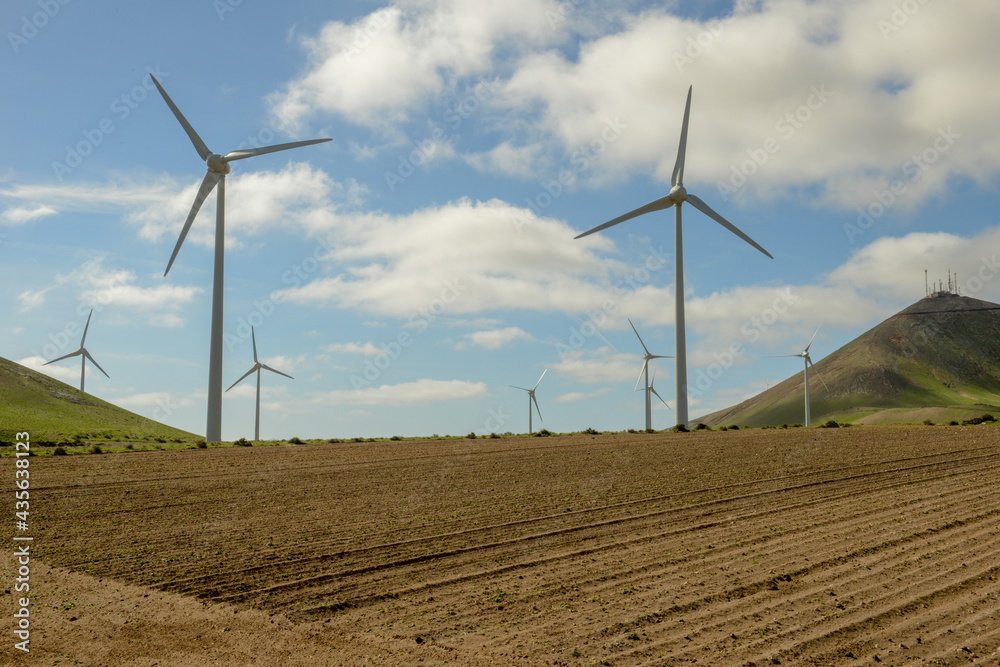 Wind farm on Canary island in Lanzarote, Spain
