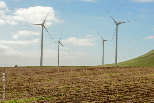 Wind farm on Canary island in Lanzarote  Spain