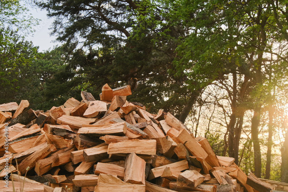 A large pile of firewood on the meadow. Trees has been cut and split into firewood to be used as fuel for heating in fireplaces and furnaces in the.