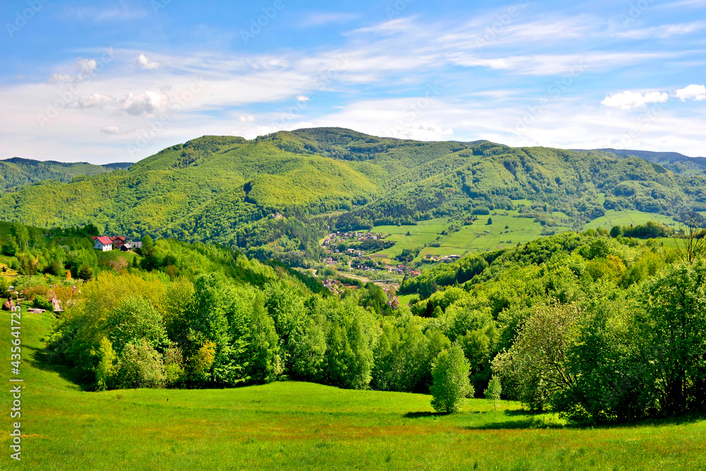 Obraz premium Beskid Sadecki in spring sunny day. View of Makowica range, near Rytro village, Poland