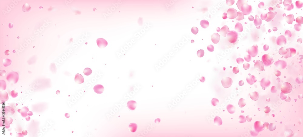 Rose Petals Falling Confetti. Flying Japanese Sakura Rose Cherry