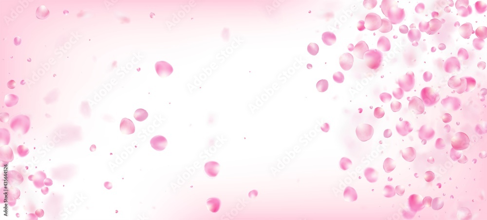 Rose Petals Falling Confetti. Flying Japanese Sakura Rose Cherry Rose Petals Falling Confetti. Flying Japanese Sakura Rose Cherry