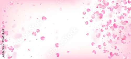 Rose Petals Falling Confetti. Flying Japanese Sakura Rose Cherry