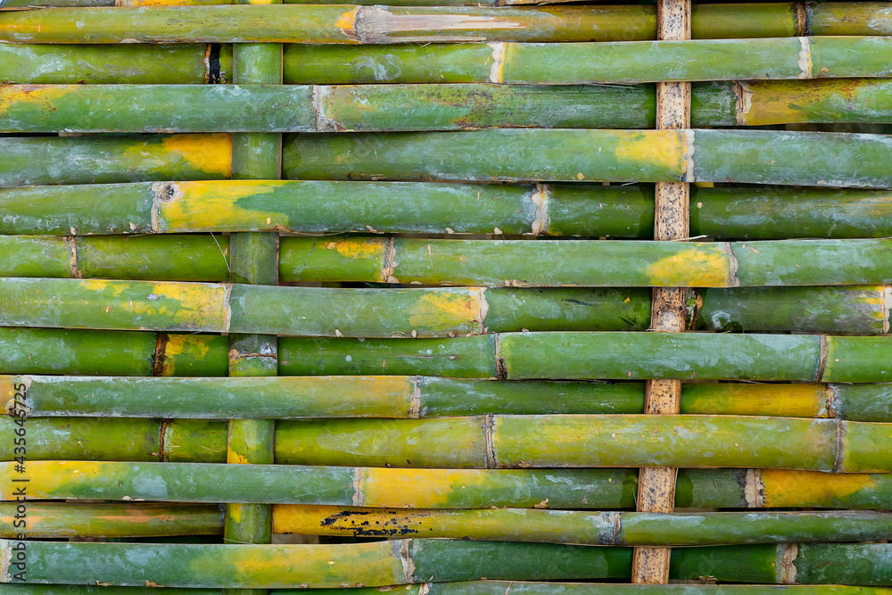 fresh green tone bamboo plank fence texture for background