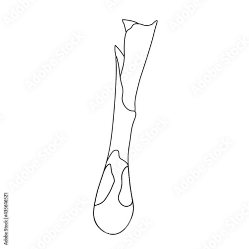 Leek outline . vegetable colorful object. Detailed vegetarian food drawing. Farm market product. Great for menu, label, icon