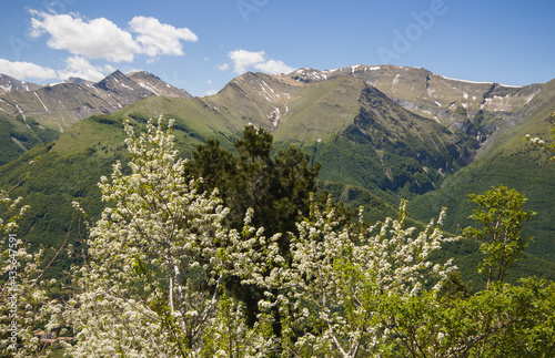 Spring view of the national park of Sibillini mountains from Pintura di Bolognola with white flowers, Marche photo