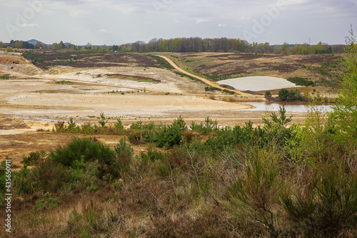 Fotografie Overview of a sand quarry in the Mechelse Heide