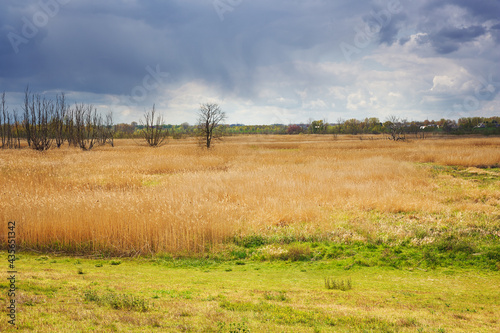 Fotografia Rain clouds over a polder landscape near Kruibeke with some houses of the villag