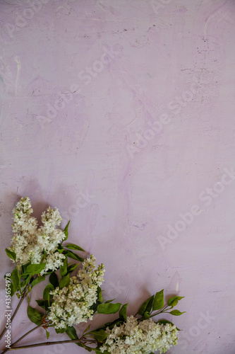 Texture background with bright flowers of lilac for the cover of the notebook diary or congratulations on the woman's holiday