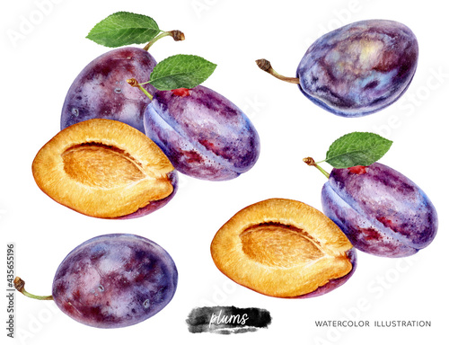 Foto Plums set watercolor illustration isolated on white background