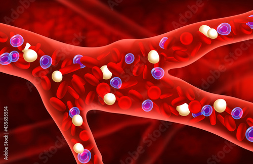 Bloodstream view from the inside. Artery and blood cells. Vector medical concept