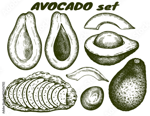 Исходный текст
Sketch drawing set of green avocado, sliced avocado with stone, seed, toast isolated on white background. Line art, engraving fruit. Engraving vegan food for cafe menu, packaging. Vecto