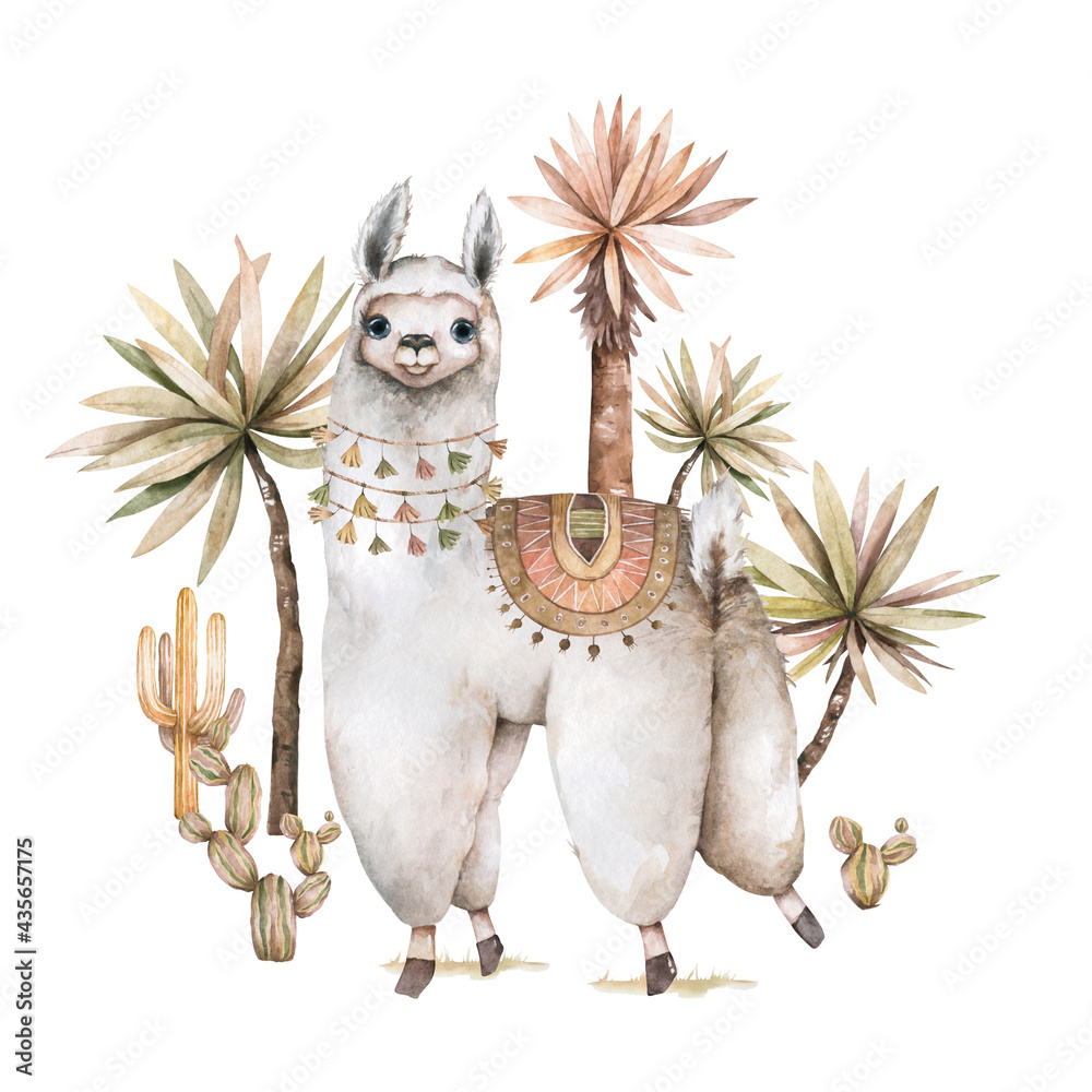 Cartoon llama watercolor illustrations. Cute llamas alpaca characters smiling, walking, in Peru desert landscape with cactuses. Mexican funny lama animal collection isolated on white