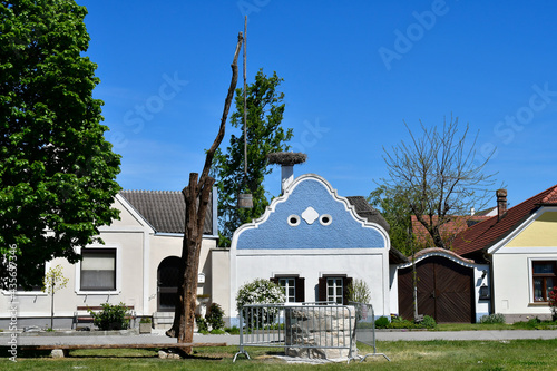 Austria, Burgenland, Apetlon Town photo