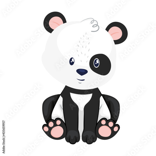 cute panda animal