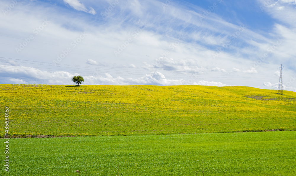 Obraz premium Paesaggio Toscana