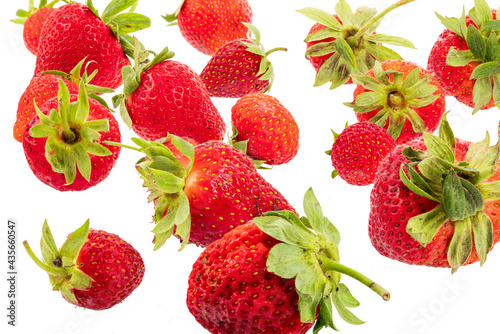 fresh natural strawberries straight from the vegetable garden on a white background