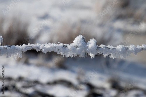 Winter, Eis, Frost, Stacheldraht, gefroren