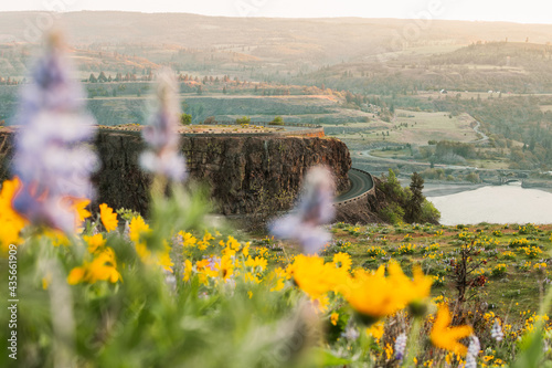 Rowena Crest in Spring time photo