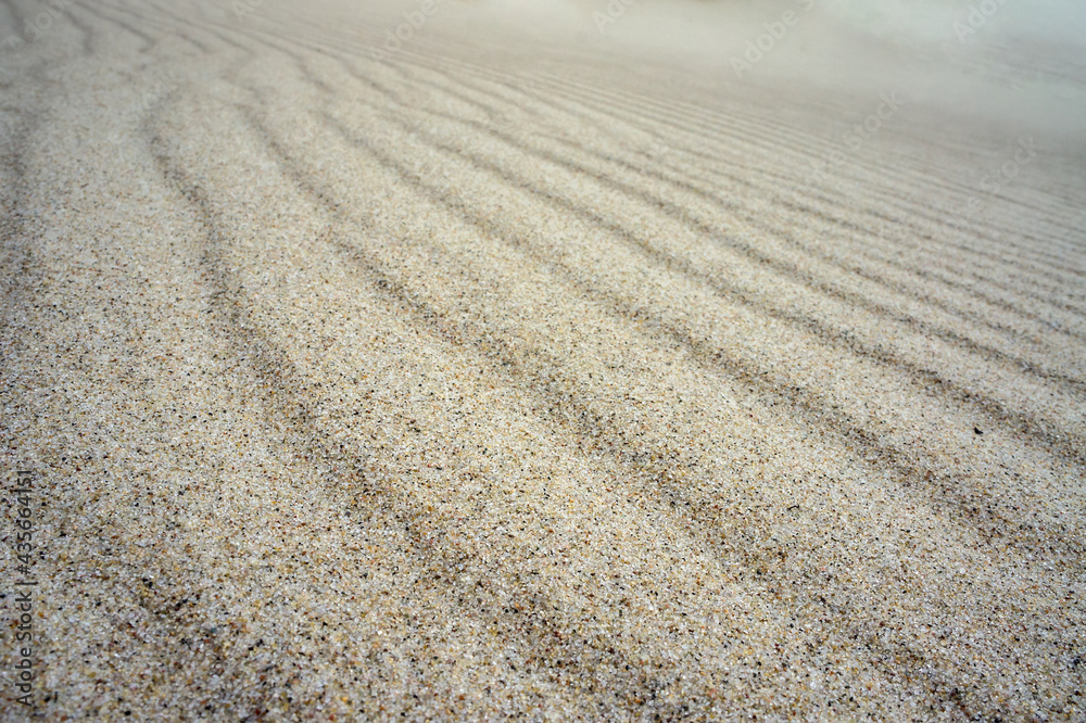 Sea sand. Sandy background. Sandy texture. Natural sea sand and river sand. Sea sand. Sandy background. Sandy texture. Natural sea sand and river sand.